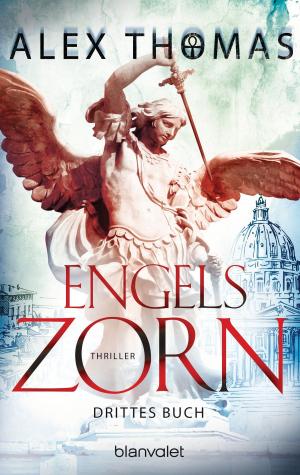 Cover of the book Engelszorn 3 by Gérard de Villiers