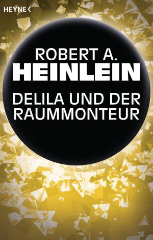 Cover of the book Delila und der Raummonteur by Sergej Lukianenko