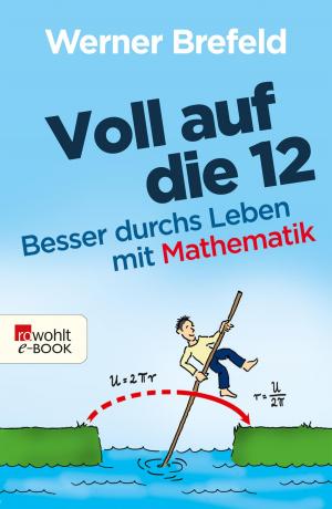 Cover of the book Voll auf die 12 by Georg Klein
