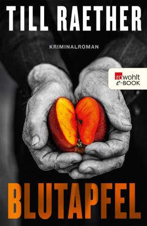 Cover of the book Blutapfel by Jilliane Hoffman