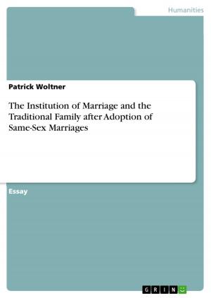 Cover of the book The Institution of Marriage and the Traditional Family after Adoption of Same-Sex Marriages by Nadja Schuppenhauer