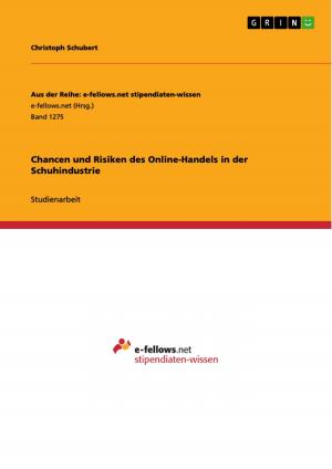 Cover of the book Chancen und Risiken des Online-Handels in der Schuhindustrie by Holger Meyndt