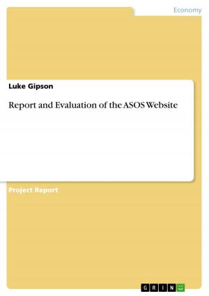 Cover of the book Report and Evaluation of the ASOS Website by Malte Kemp, Dmrity Bakumenko Nick Benjamin Brackmann