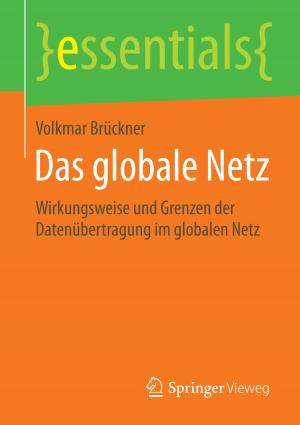 Cover of the book Das globale Netz by Heinrich Kersten, Gerhard Klett