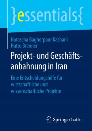 Cover of the book Projekt- und Geschäftsanbahnung in Iran by Andreas Györy, Anne Cleven, Günter Seeser, Falk Uebernickel, Walter Brenner