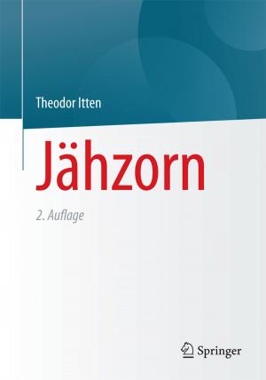 Cover of the book Jähzorn by Frank Otto Dietrich, Ralf Schmidt-Bleeker