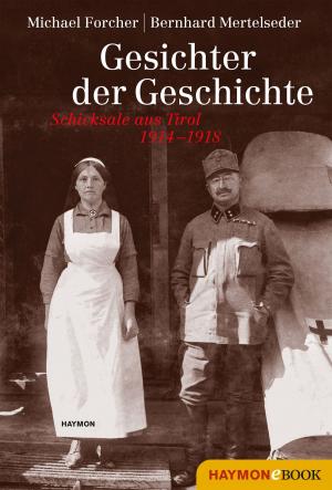 Cover of the book Gesichter der Geschichte by Klaus Merz