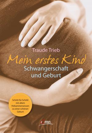 Book cover of Mein erstes Kind
