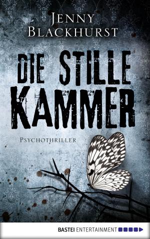 Book cover of Die stille Kammer