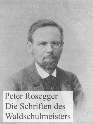 Cover of the book Die Schriften des Waldschulmeisters by Peter Schneckenleitner