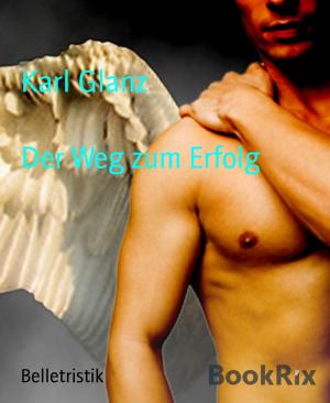 Cover of the book Der Weg zum Erfolg by Angelika Nylone
