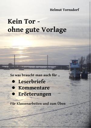 Cover of the book Kein Tor ohne gute Vorlage by Fee-Christine Aks
