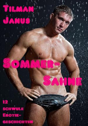 Cover of the book Sommer-Sahne by Jens Wahl