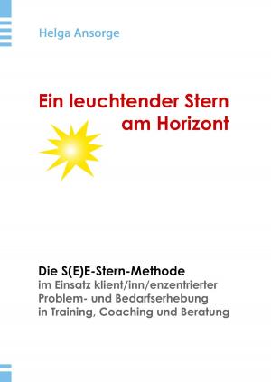 Cover of the book Ein leuchtender Stern am Horizont by Bernd Schubert