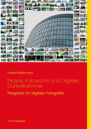 Book cover of Picasa: Fotoarchiv und Digitale Dunkelkammer