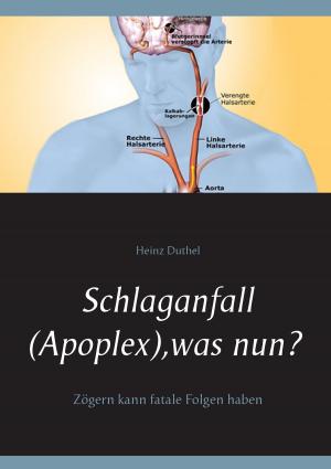 Cover of the book Schlaganfall (Apoplex), was nun? by Anna Vonnemann, Saskia Holodynski