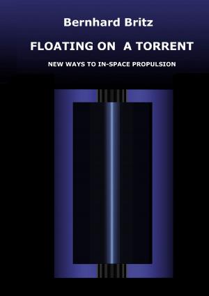 Cover of the book Floating on a Torrent by Petra Berneker