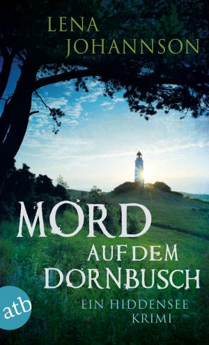 Cover of the book Mord auf dem Dornbusch by Thomas Brussig