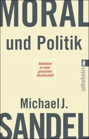 Cover of the book Moral und Politik by Corina Bomann