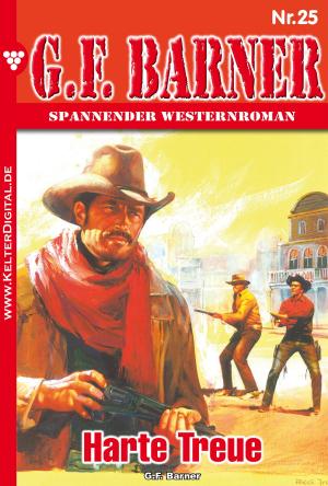 Cover of the book G.F. Barner 25 – Western by Toni Waidacher