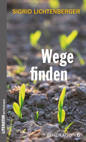 Book cover of Wege finden