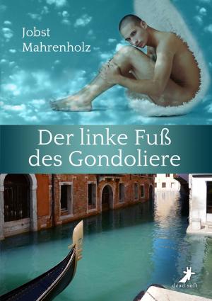 Cover of the book Der linke Fuß des Gondoliere by Silvia Violet