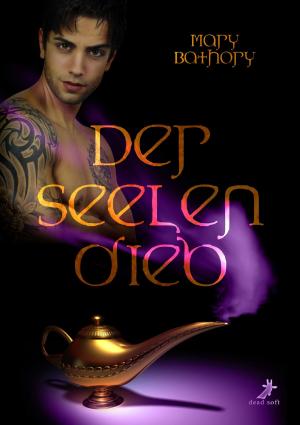Cover of the book Der Seelendieb by Verena Rank