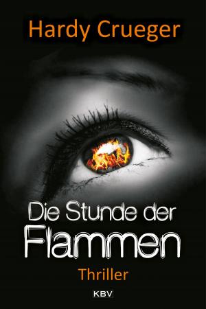 Cover of the book Die Stunde der Flammen by Gisbert Haefs