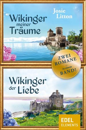 Book cover of Wikinger der Liebe / Wikinger meiner Träume
