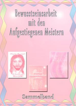 Book cover of Bewusstseinsarbeit mit den Aufgestiegenen Meistern