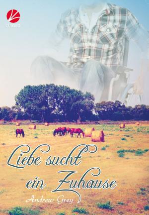 Cover of the book Liebe sucht ein Zuhause by Jacklynn Ray