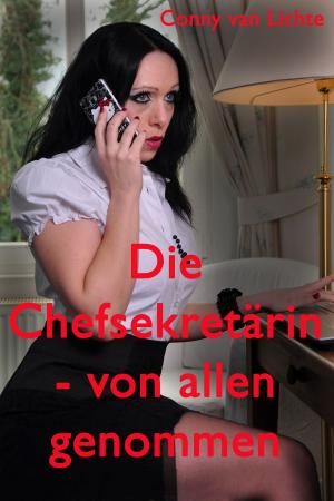 Cover of the book Die Chefsekretärin - von allen genommen by Eva van Mayen