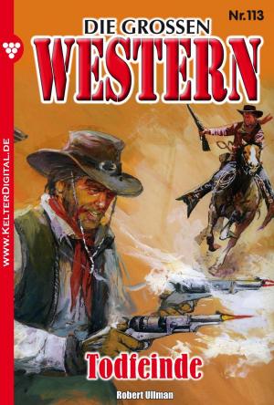 Cover of the book Die großen Western 113 by Toni Waidacher