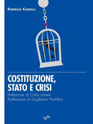 Book cover of Costituzione, Stato e crisi - Eresie di libertà per un Paese di sudditi