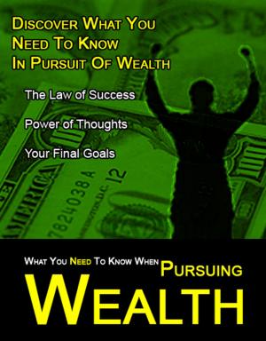Cover of the book What You Need to Know When Pursuing Wealth by Kimberley Payne
