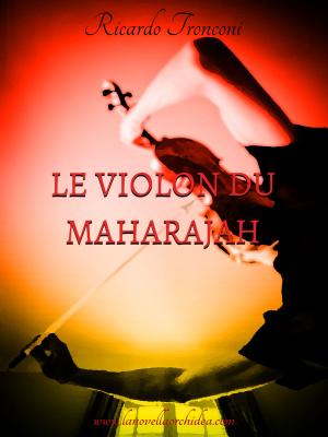 Cover of Le violon du Maharajah