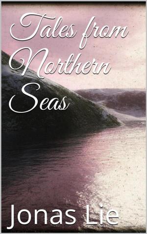 Book cover of Tales from Northern Seas