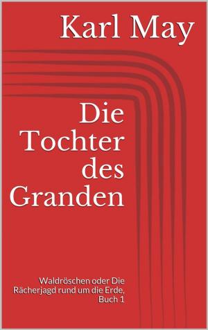 Cover of the book Die Tochter des Granden by Magda Trott