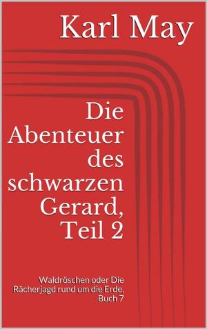 Cover of Die Abenteuer des schwarzen Gerard, Teil 2