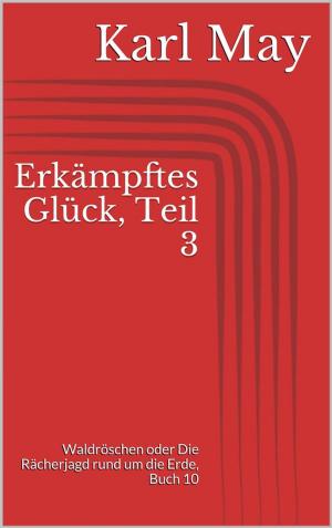 Cover of the book Erkämpftes Glück, Teil 3 by Karl May