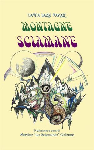 Cover of the book Montagne Sciamane by Ewald Kliegel
