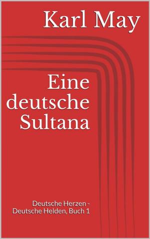 Cover of the book Eine deutsche Sultana by Miguel de Cervantes Saavedra