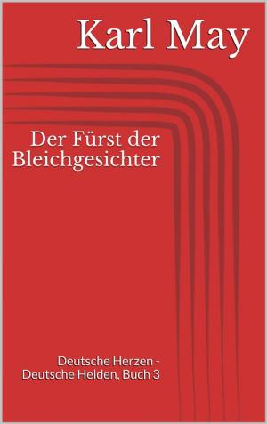 Cover of the book Der Fürst der Bleichgesichter by Magda Trott