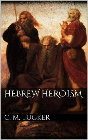 bigCover of the book Hebrew Heroism by 