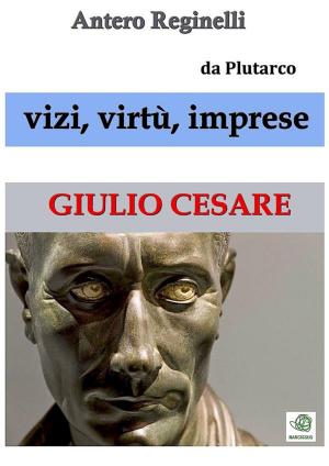 Book cover of Vizi, virtù, imprese. Giulio Cesare