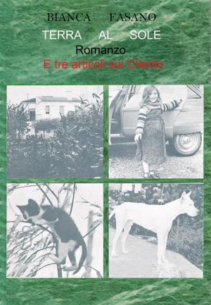 Book cover of "Terra al Sole - Romanzo