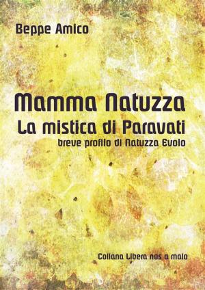 Cover of the book Mamma Natuzza - la mistica di Paravati - breve profilo di Natuzza Evolo by Canonico Agostino Berteu, Note e commenti di Beppe Amico, Beppe Amico (curatore)