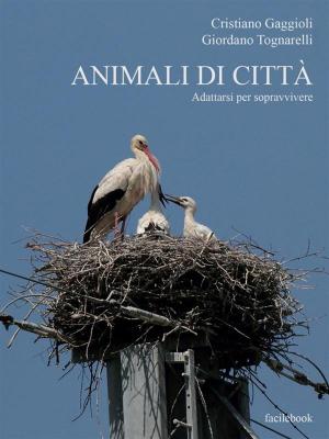 Cover of the book Animali di città by Sara Goldenthal