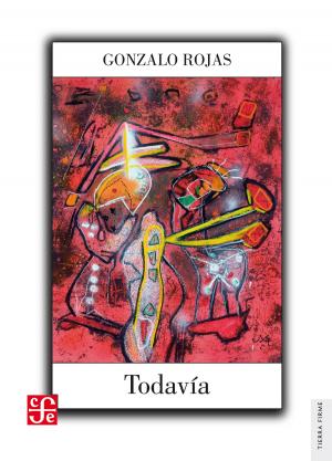 Book cover of Todavía