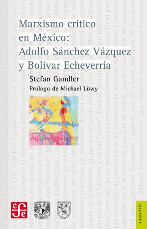 Cover of the book Marxismo crítico en México by Jorge G. Castañeda, Manuel Rodríguez W.